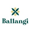 Codice Sconto Ballangi